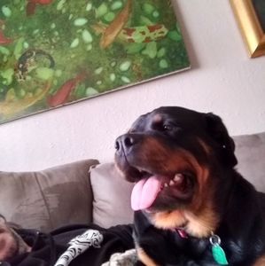 Meet your Posher, Douglas